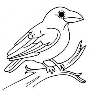 Ravnene Farvelaegningsside 104224-42076