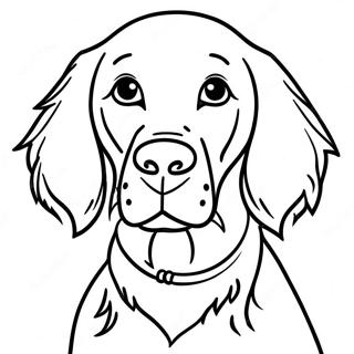 Sod Irsk Setter Hund Farvelaegningsside 10707-273