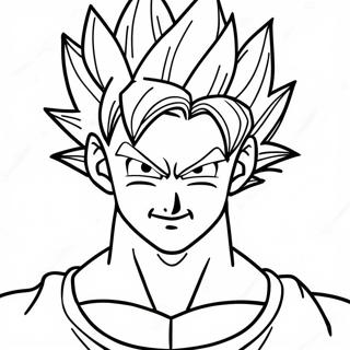 Vegito Farvelaegningsside 108876-45711