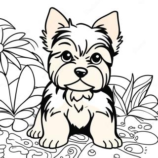 Yorkshire Terrier Farvelægningsider