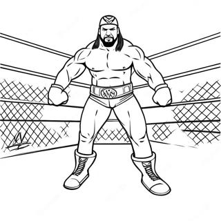 Wwe Superstar Indgang Farvelaegningsside 111116-47554