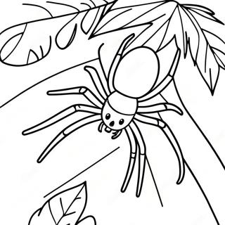 Realistisk Edderkop Pa Et Blad Farvelaegningsside 11611 734