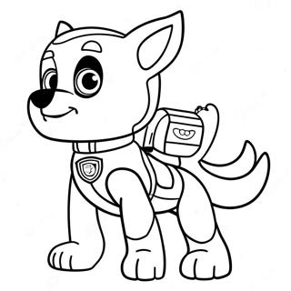 Rocky Paw Patrol Farvelægningsider