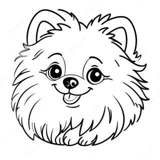 Pomeranian Farvelaegningsside 118573 53724