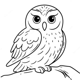 Charmerende Sneugle Farvelaegningsside 123432 57747