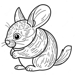 Chinchilla Farvelaegningsside 123943-58130
