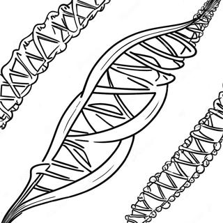 Dna Struktur Farvelaegningsside 129942-63011