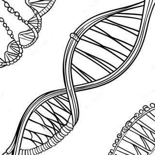 Dna Struktur Farvelaegningsside 129942-63012