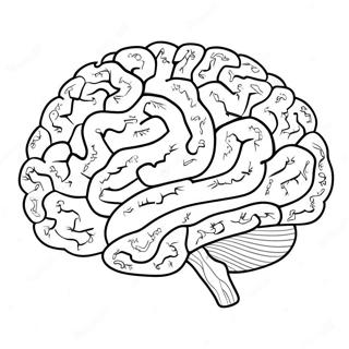 Farverig Ai Hjerne Farvelaegningsside 137365-68944