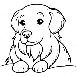 Pelsagtig Golden Retriever Farvelaegningsside 1901 2156