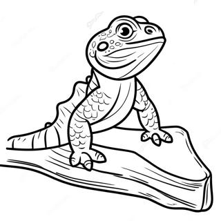 Majestaetisk Skaegdrage Pa En Stamme Farvelaegningsside 48618-10645