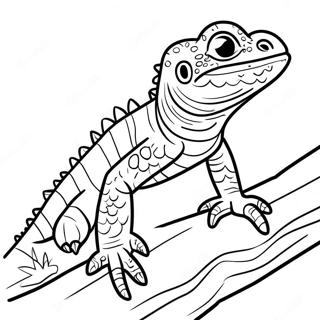 Majestaetisk Skaegdrage Pa En Stamme Farvelaegningsside 48618-10646