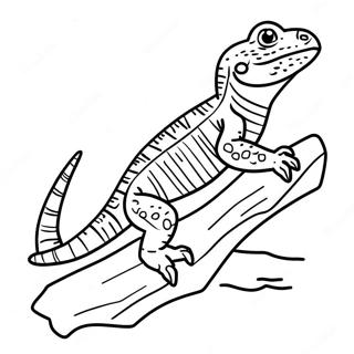 Majestaetisk Skaegdrage Pa En Stamme Farvelaegningsside 48618-10647