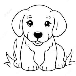 Sod Golden Retriever Hvalp Farvelaegningsside 67433 14753