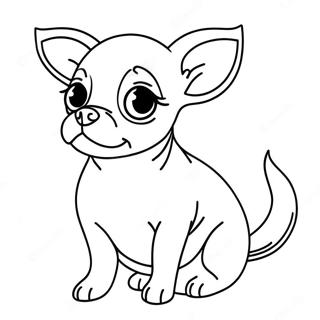 Chihuahua Farvelægningsider